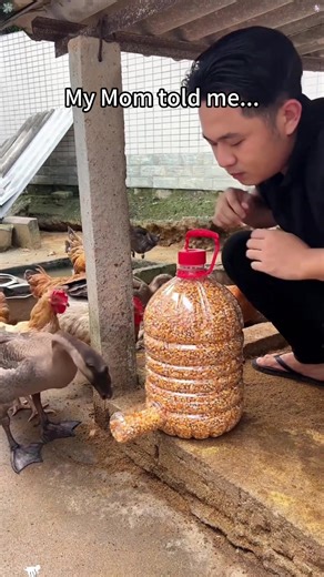 10 Hilarious Life Tips You Need to Know