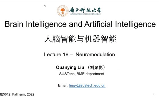 【BI&AI】Lecture 18 - Neuromodulation
