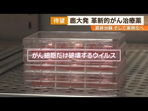 [Virus that destroys only cancer cells] Kagoshima University's innovative cancer treatment drug "...