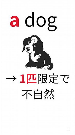【1分英文法】#1 I like dogs の s なぜ？ #英会話 #やさしい英語