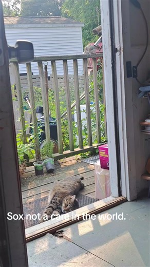 kathyireland6 (@kathyireland6)’s videos with Little Things in Life - Casey Sana