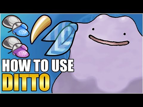 Best Ditto Moveset Guide Raid - How To Use Ditto Competitive Transform Imposter VGC Scarlet Violet