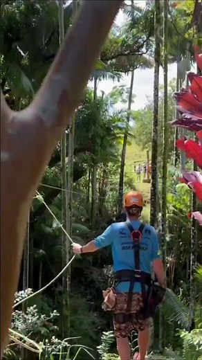 Ziplining in Hilo, Hawaii 🌿 Big Island Rainforest Canopy Experience