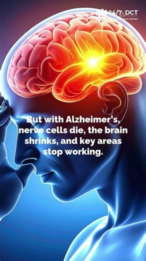 How Alzheimer’s Changes the Brain?