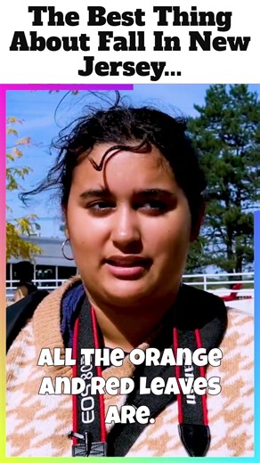 What do you like about fall? | Love Your Librarian