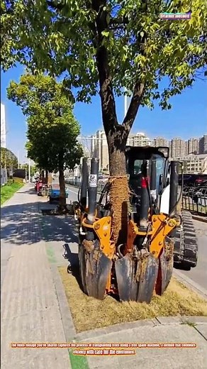 The Art of Tree Transplanting with a Tree Spade Machine