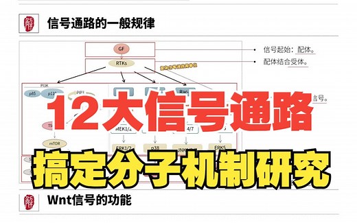 狠狠拿捏了！NF-KB、KEGG、MAPK、Wnt等12大信号通路详细解读！