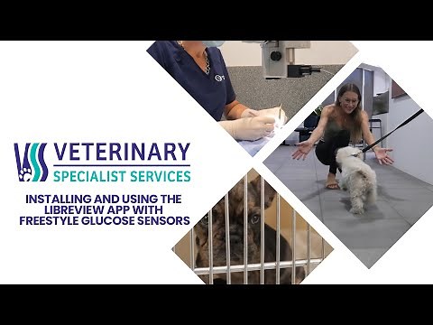 Installing and Using the LibreView app with Freestyle glucose sensors