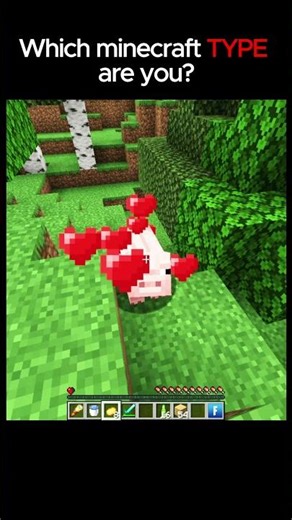 Which Minecraft Type Are You? 🧐