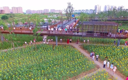 【景观案例分享】衢州鹿鸣公园