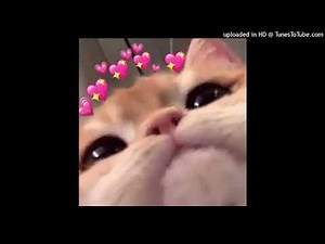 lungskull - elisa (alternate intro)