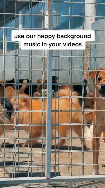 Happy Background Music for Videos | Upbeat and Cheerful