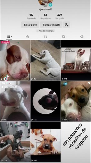 #parati #sigueme_y_te_sigo #sicumplo #apoyemosnos