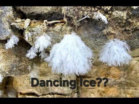 Have you ever seen dancing ice bells?