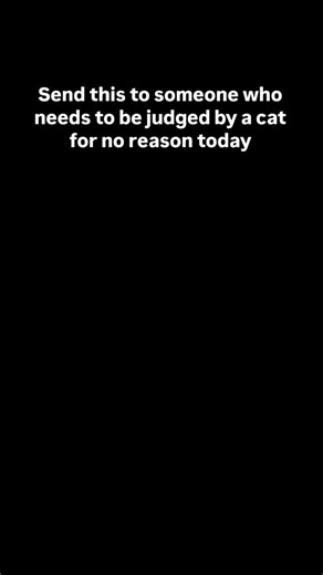 34 reactions | Send it to them ,,,,!!!! . . . . . . . . . . . . . . . . . . . . . . . . . . . #instagram #trendingreels #fyp #meme #funny #comedy #explorepage #instagood #instadaily #art #photography #viral #reels | Valteo Officiall | Facebook