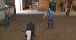 Learn the #correct way to rope the dummy on the ground from 8X World Champion Team Roper, Rich Skelton on www.totalteamroping.com! | Total Team Roping