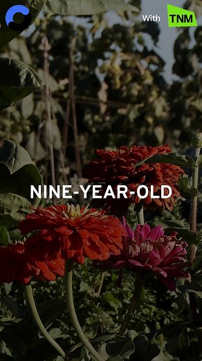 1.7K views | WATCH: How bad is air pollution in the UK? Worst areas...