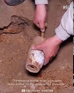 4.1M views · 10K reactions | Treasure hunter found a snake inside a vase  | MetDaan Tips | Facebook