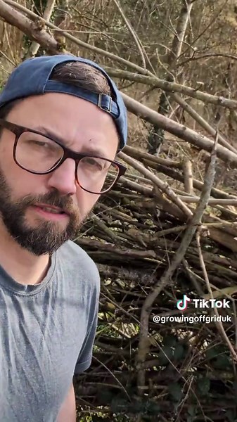 Tik tok there's this together for me. I thought I'd throw it up here. not sure what I make of it 😂