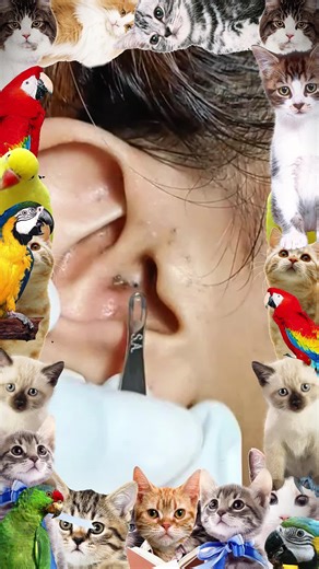 Skin cleansing & dispel acne #fyp #foryou #fypシ #pimple #satisfyingvideo #viral #skincare #skincare #ingrowntoenail #pedicure #2025