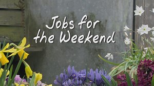 BBC Gardeners World on Reels