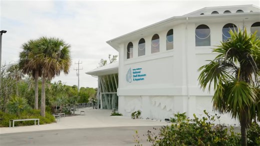 Check out the Museum’s NEW website! A celebration of shells, mollusks, and their ecosystems, waiting to be explored! ShellMuseum.org | Bailey-Matthews National Shell Museum & Aquarium