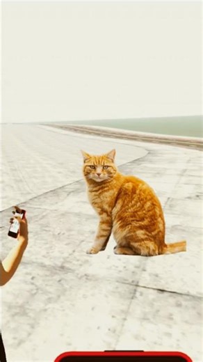 Cat 😺 cheat code Indian bike driving #newsupdate