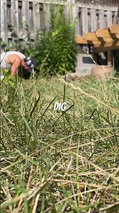 Digging holes= ground and pound training