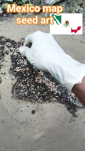 Mexico map, 🇲🇽🇲🇽 seeds art #seed #shorts