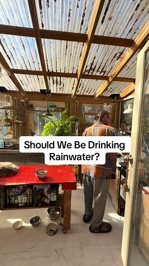 Drinking Rainwater: Is It Safe? Our Test Results