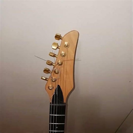 CARVIN BOLT ON GUITAR 🎸. #music #guitar #carvin #w2kx #bobbytrates
