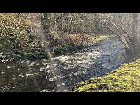 River Dane Walk - From Wincle to the Dane Feeder