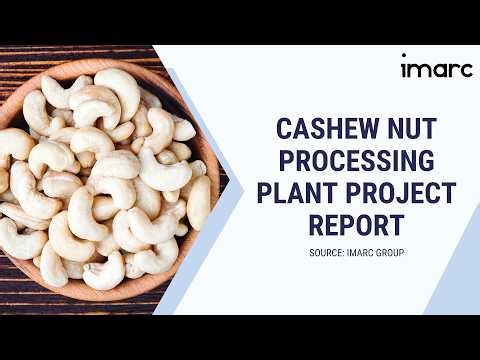 How to Start a Cashew Nut Processing Plant: Project Cost Analysis