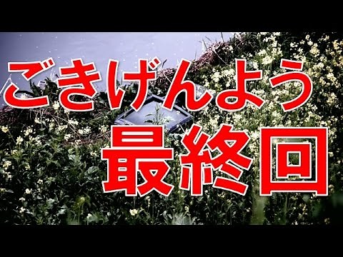 「ライオンのごきげんよう」注目の最終回、ゲストはなし！