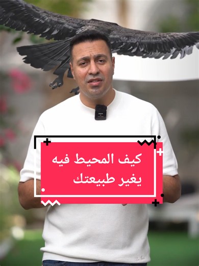 كيف يؤثر المحيط على طبيعتك وكيف تبدأ في التجارة الإلكترونية