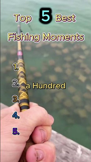 Never Check The Content🤣 😂 😹