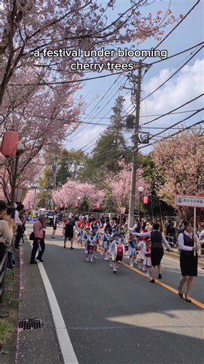 100 yen shop in Japan and cherry blossom festival in April #tokyo #sakura #100yenshop #spring