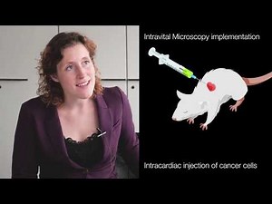 Correlative imaging to understand spread of cancer with Amira Software