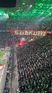 1. FC Köln at Borussia Mönchengladbach tonight! | Casual Ultra