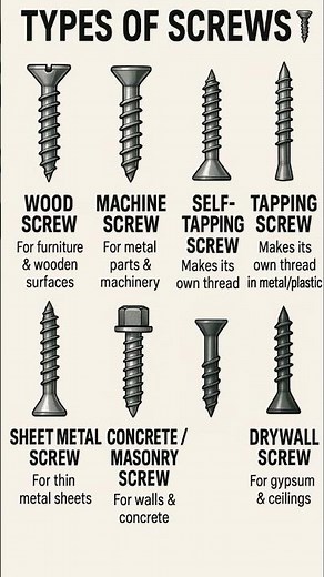 Types of Screws & Their Uses (Quick Guide) #shorts