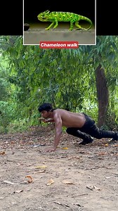 5 Animal movements 🔥 / #shivafitzone #animalflow | Shivaz fitzone