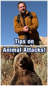 When out in the wilderness, avoiding an animal attack can be as simple as just making noise so critters are aware of your presence. 🐻 Cade Courtley goes over some easy-to-use tips on staying safe while out in the wild. | 4Patriots
