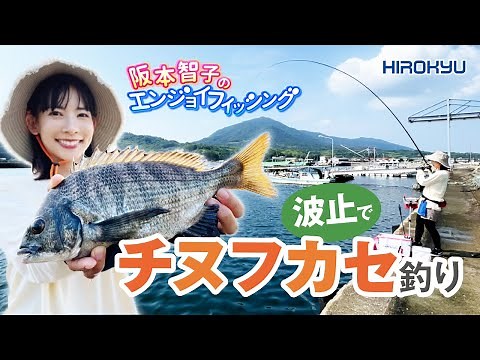 波止でチヌフカセ釣り「阪本智子のエンジョイフィッシング」