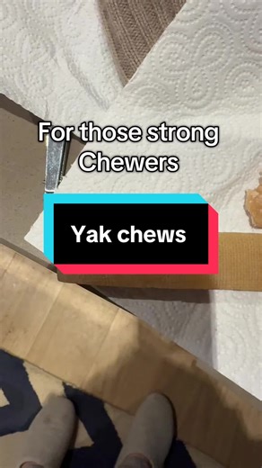 Top Benefits of Yak Chews for Dogs