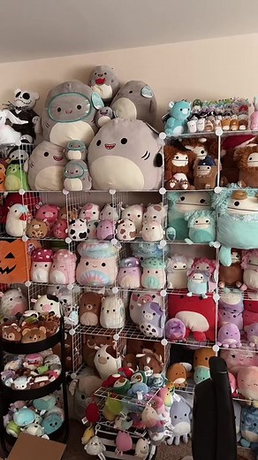 Joshua Squishmallow Face Reveal and Collection Showcase