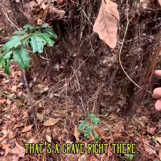 75K views · 1.3K reactions | Cecil and I travel to what was once Juniper Mills to investigate reports of hidden graves deep in the woods, beyond the maintained section of the cemetery. #history #forgottengraves #preservinghistory | Adventures Into History | Facebook