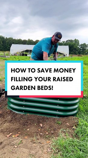 How to Fill Your Raised Garden Bed on a Budget