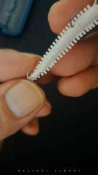 Lrf Hırsız Kanca Nasıl Takılır.How to Attach a Fishing LRF Thief Hook #fishing #fish #lrf #shorts