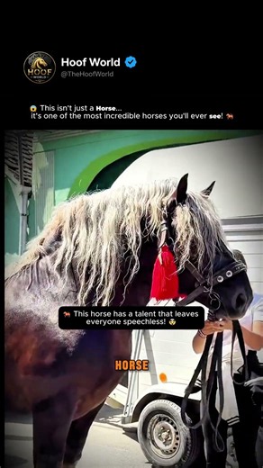 This Majestic Horse Looks Like a Real-Life Legend! 🐴😍 #Shorts