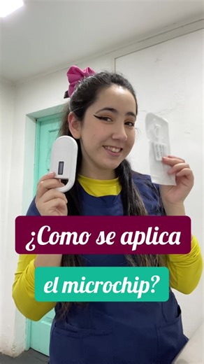 ¿Cómo se aplica el microchip a tu mascota?